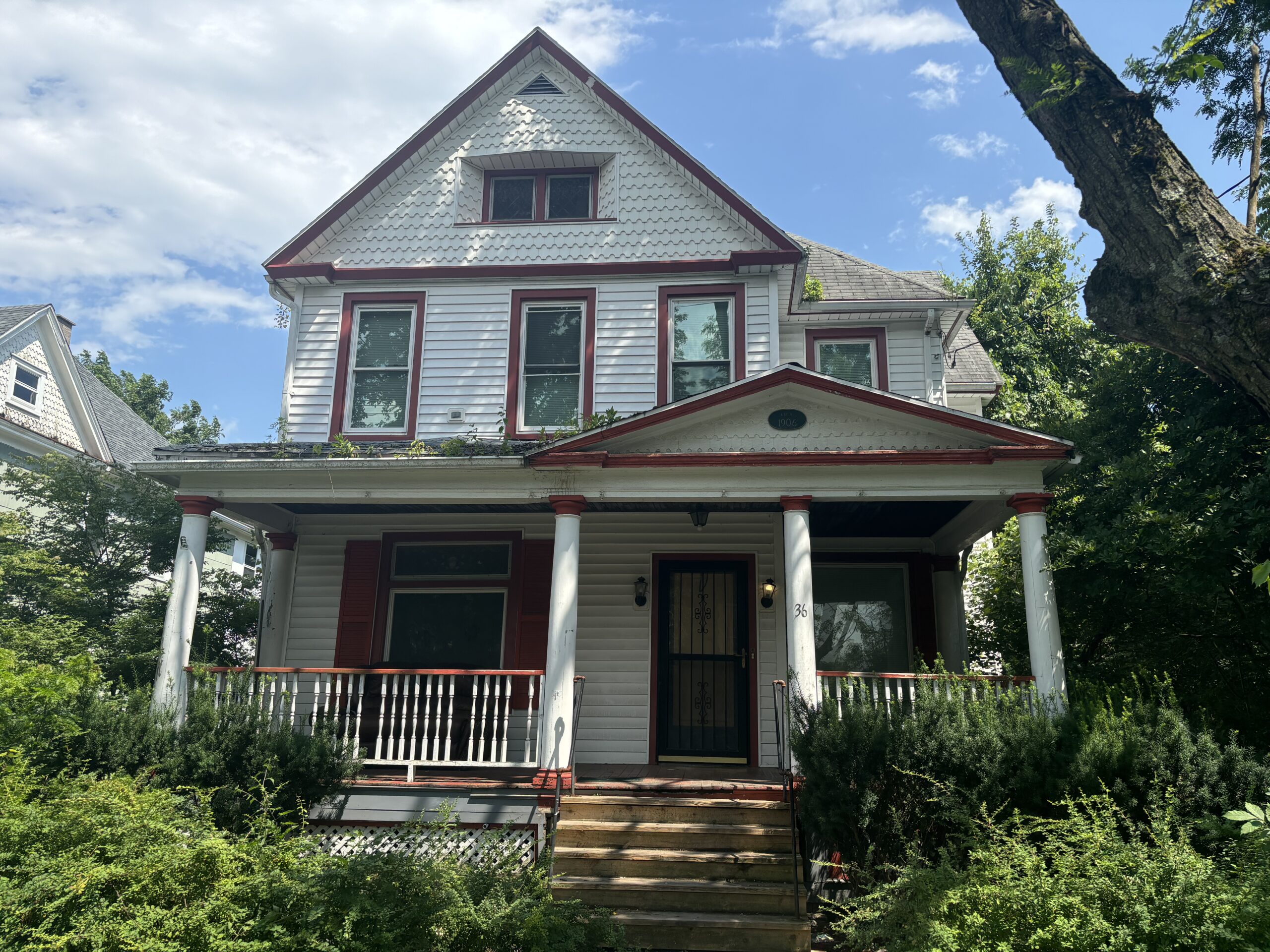 36 Walnut