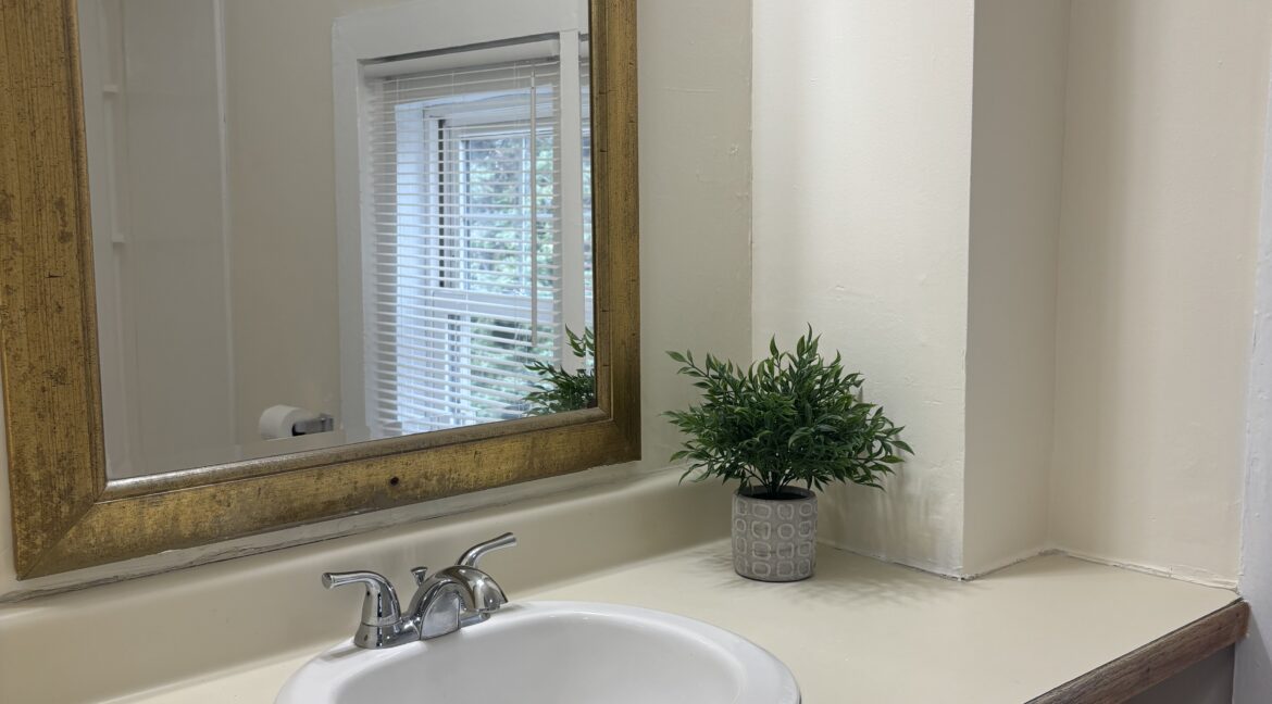 2F bath sink